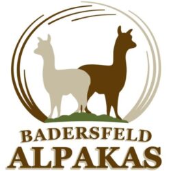 Badersfeld-Alpakas